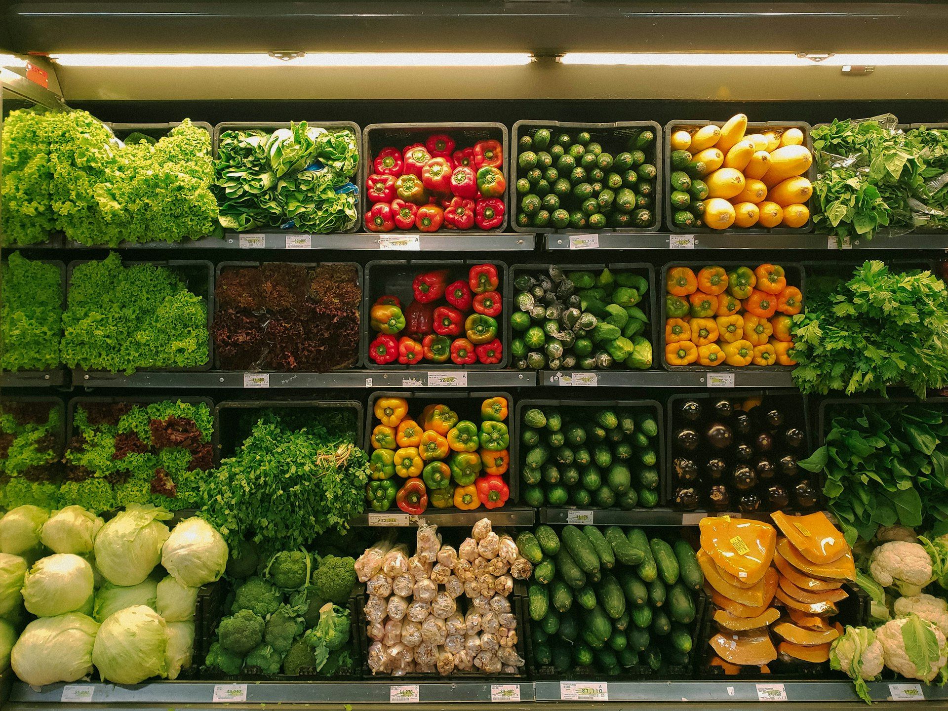 Close up of organic heirloom vegetables